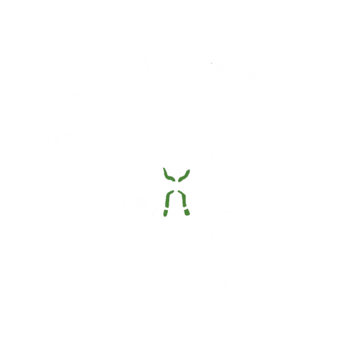 Hoody Modz